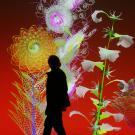 Visuel pour l'exposition Miguel Chevalier, Pixels botaniques, sur un fond rouge constellé de plantes et fleurs se détache une silhouette d'homme marchant