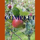 Gros plan d'une pomme, sur une branche de pommier, dans un verger. Par dessus la photographie, la mention "complet" pour informer le public que le nombre maximum d'inscrits est atteint.