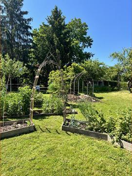 Photographie couleur du jardin pédagogique du MDSM en été