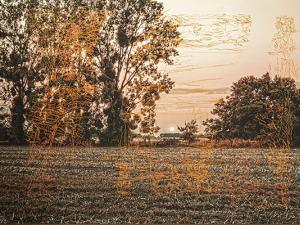 Élément d'un triptyque, photographie d'un paysage rural, un champ bordé d'arbres, avec à l'arrière plan un coucher de soleil. Photographie couleur, avec peinture a tempera dans une tonalité orangée