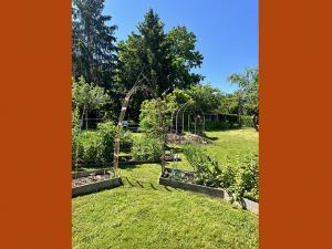 Photographie couleur du jardin pédagogique du MDSM en été