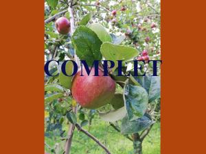 Gros plan d'une pomme, sur une branche de pommier, dans un verger. Par dessus la photographie, la mention "complet" pour informer le public que le nombre maximum d'inscrits est atteint.