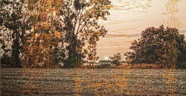 Élément d'un triptyque, photographie d'un paysage rural, un champ bordé d'arbres, avec à l'arrière plan un coucher de soleil. Photographie couleur, avec peinture a tempera dans une tonalité orangée